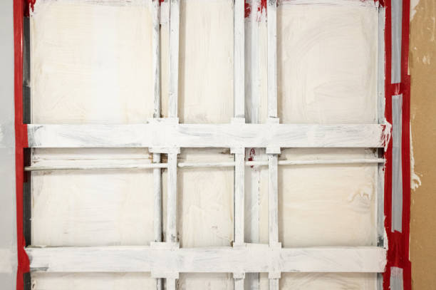 Best Attic Mold Removal  in Lake Butler, FL